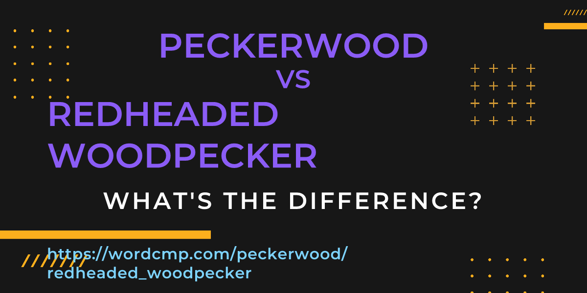 Difference between peckerwood and redheaded woodpecker