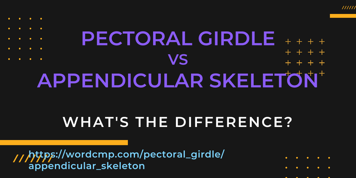 Difference between pectoral girdle and appendicular skeleton