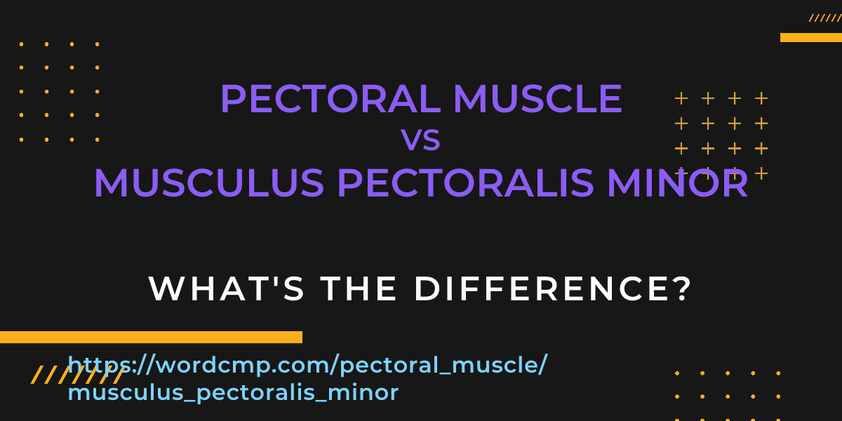 Difference between pectoral muscle and musculus pectoralis minor