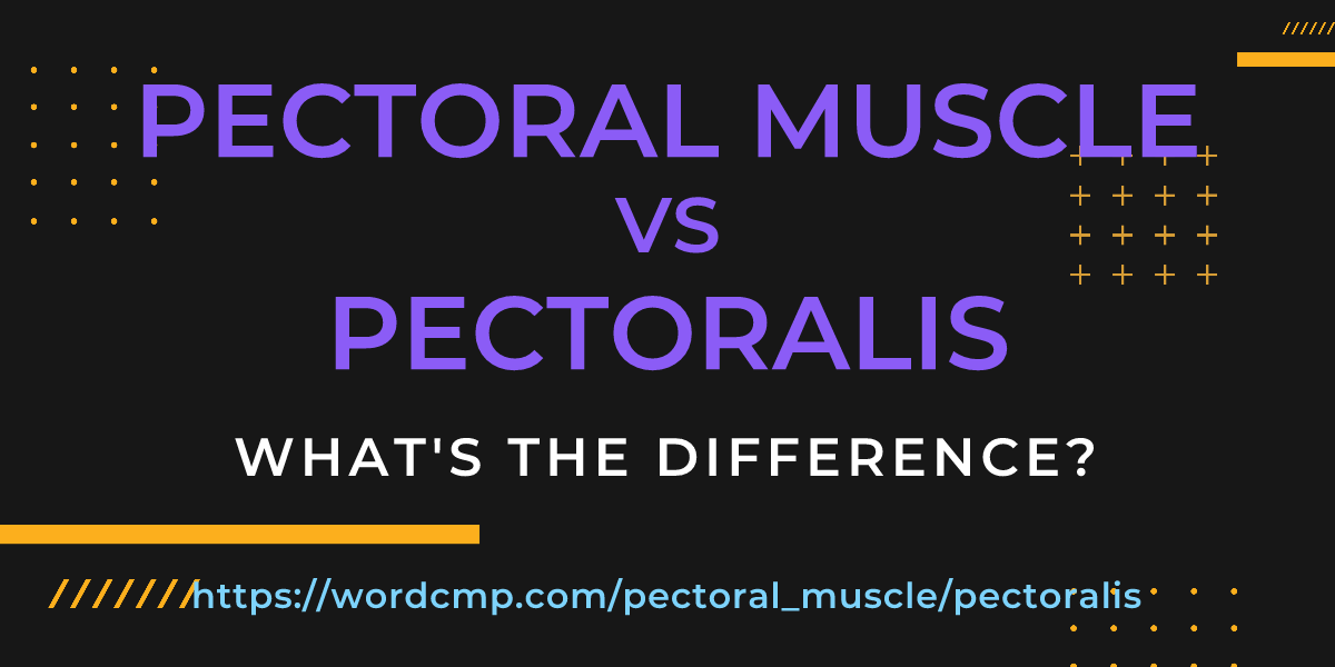 Difference between pectoral muscle and pectoralis