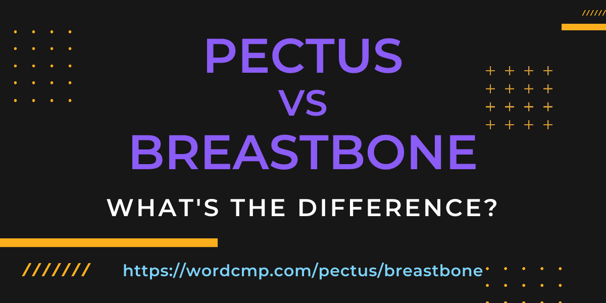 Difference between pectus and breastbone