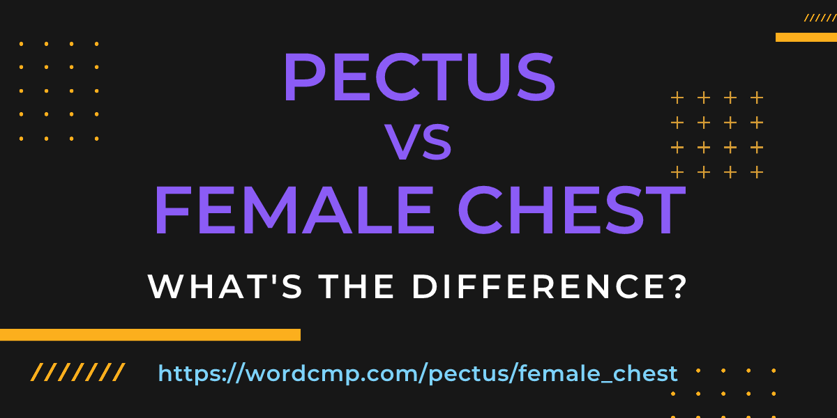 Difference between pectus and female chest