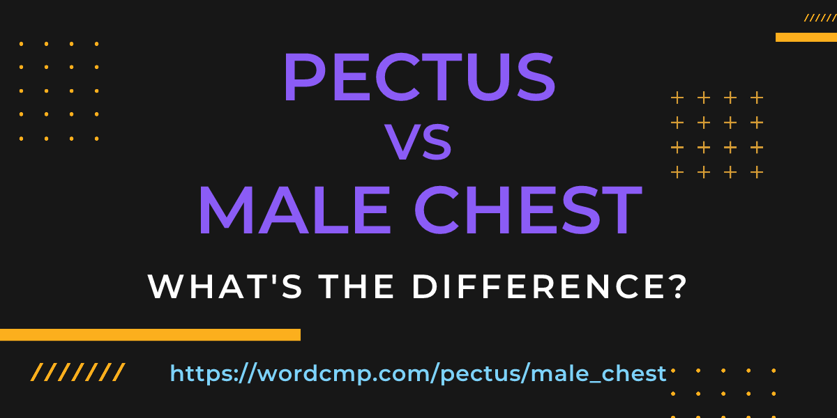 Difference between pectus and male chest