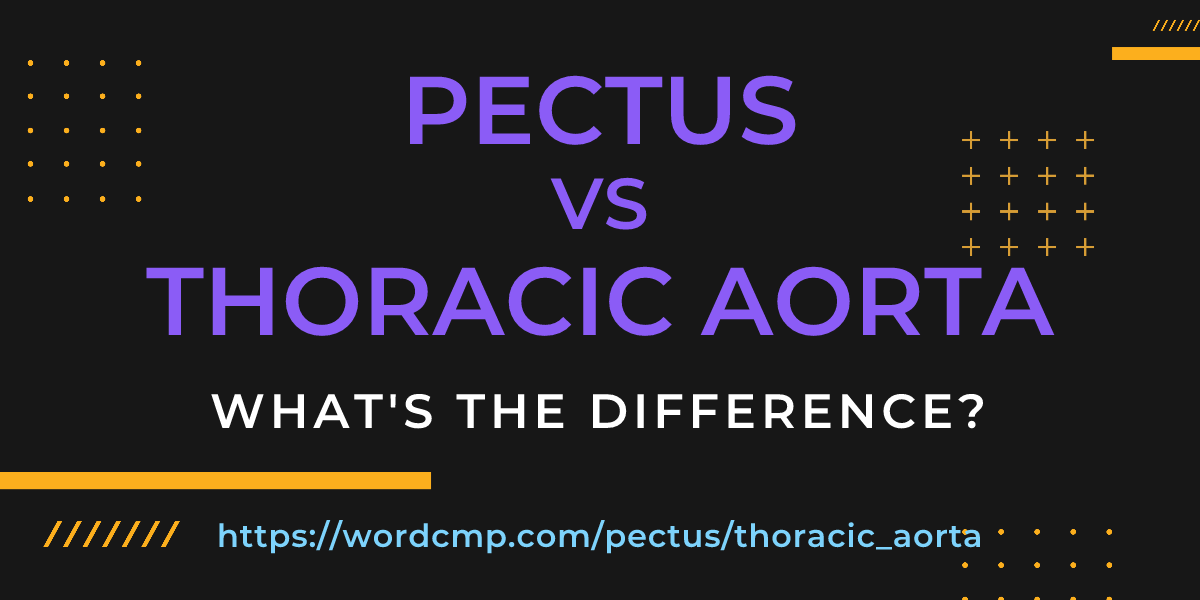 Difference between pectus and thoracic aorta