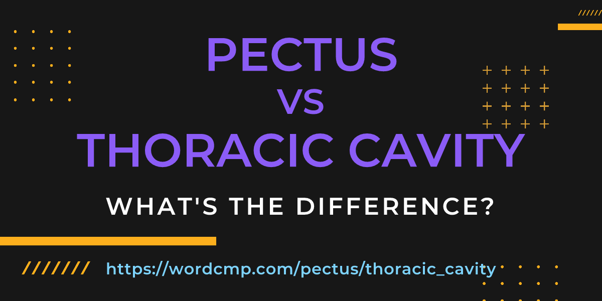 Difference between pectus and thoracic cavity