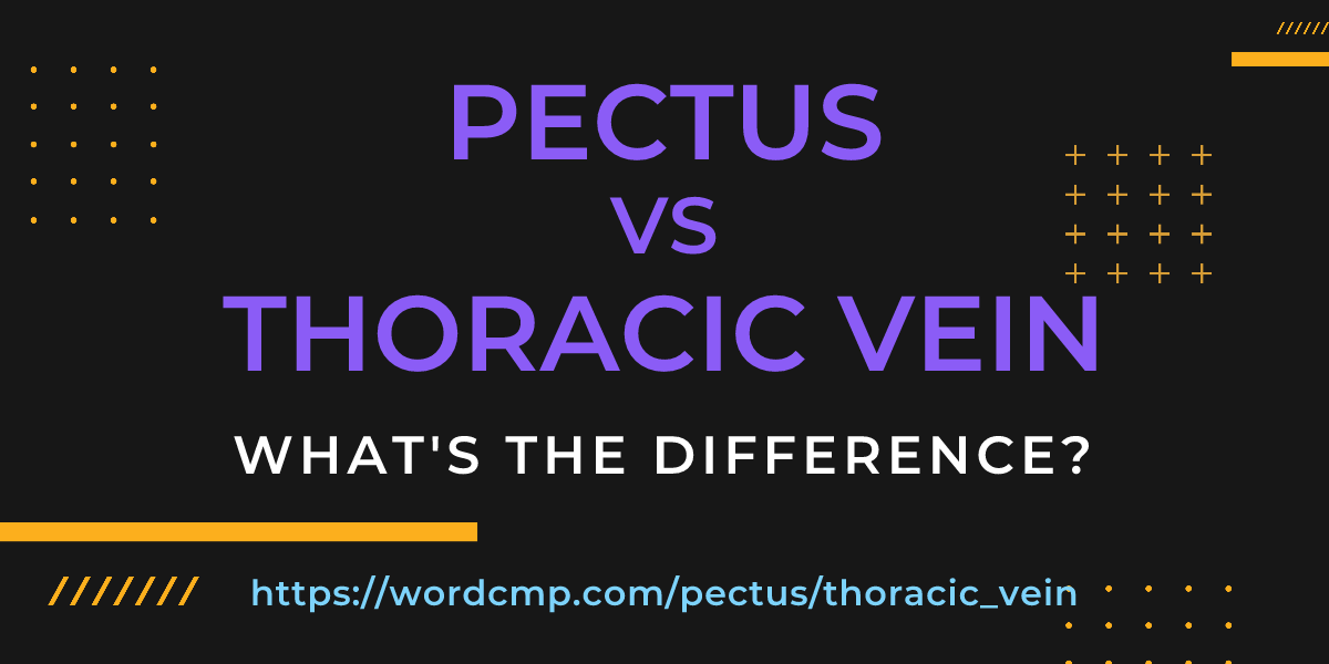 Difference between pectus and thoracic vein