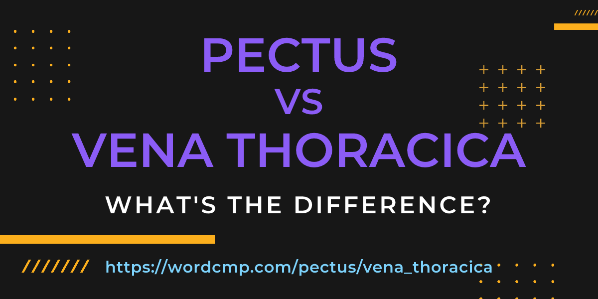 Difference between pectus and vena thoracica