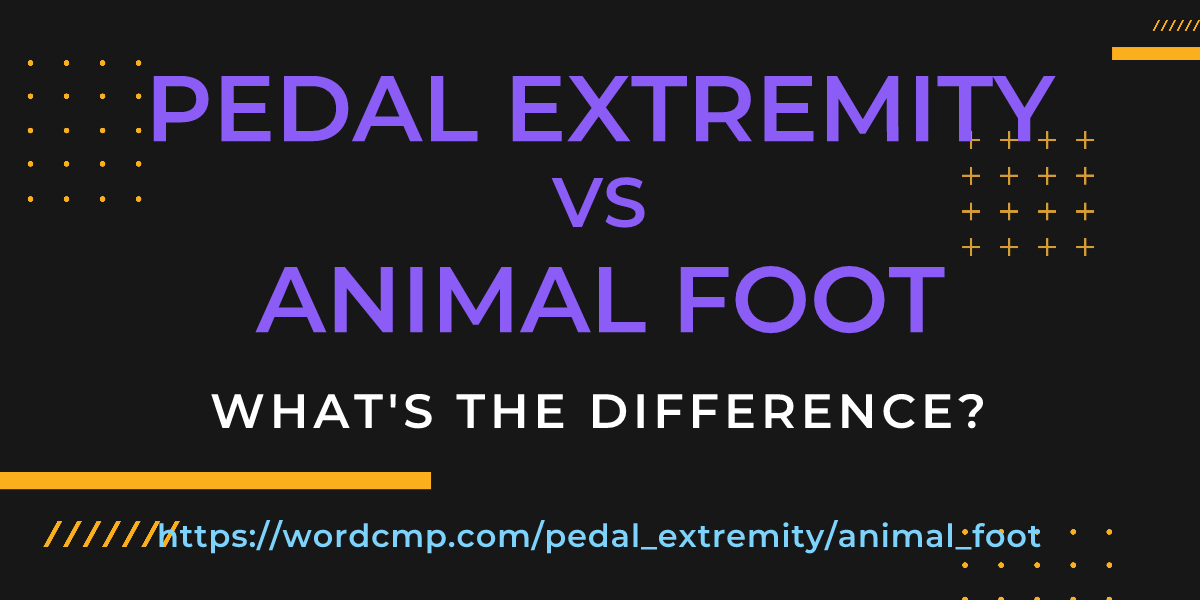 Difference between pedal extremity and animal foot