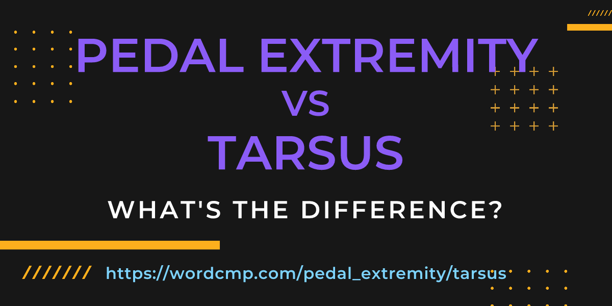 Difference between pedal extremity and tarsus