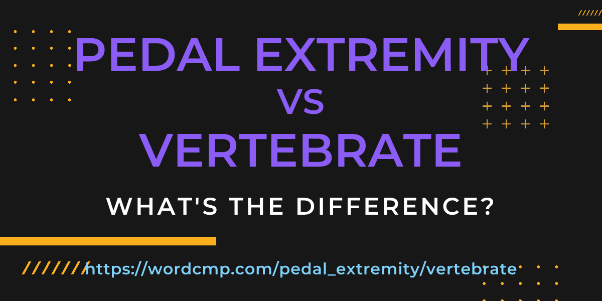 Difference between pedal extremity and vertebrate
