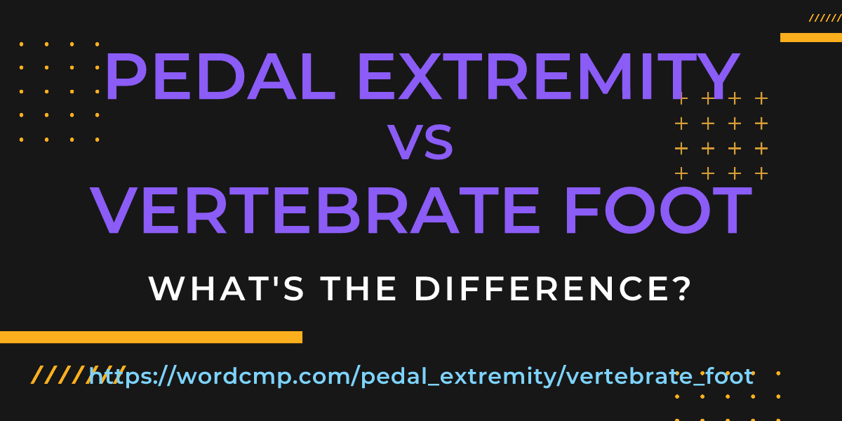 Difference between pedal extremity and vertebrate foot