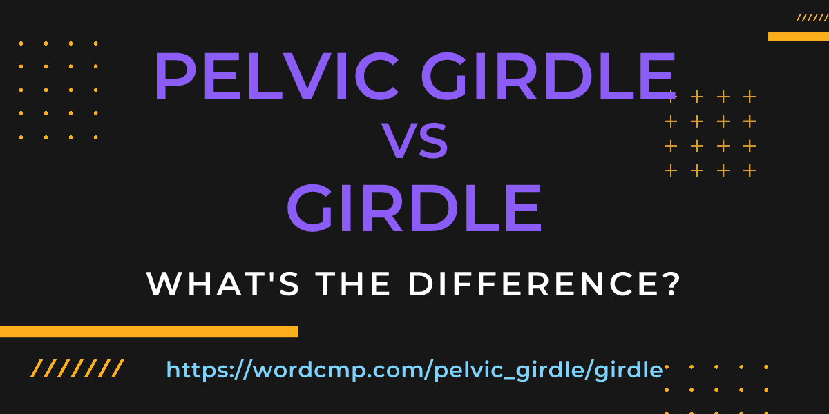 Difference between pelvic girdle and girdle