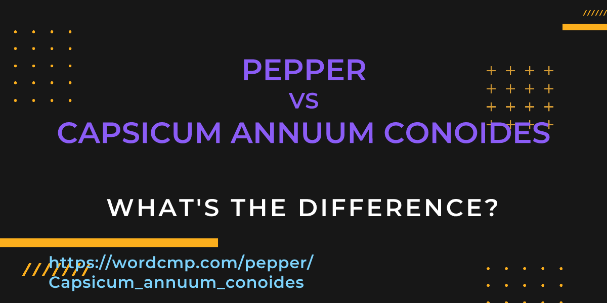 Difference between pepper and Capsicum annuum conoides