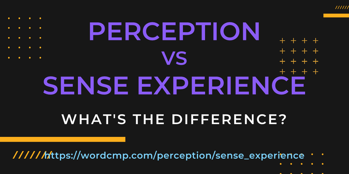 Difference between perception and sense experience