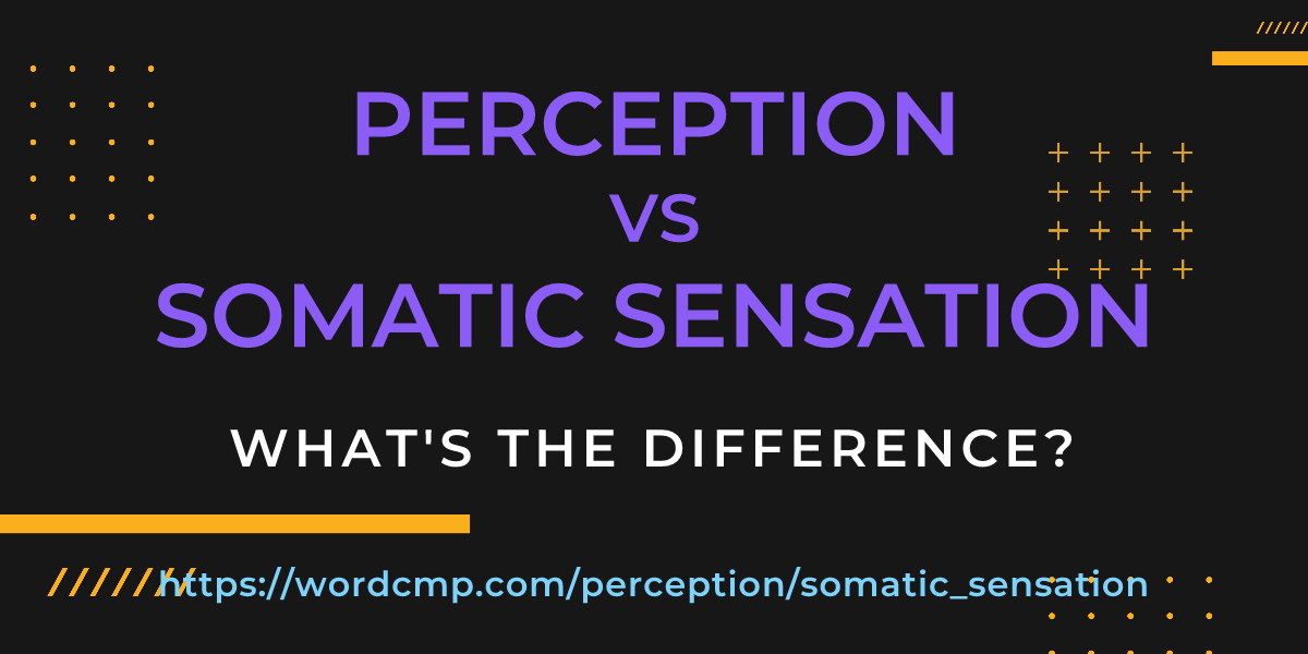 Difference between perception and somatic sensation