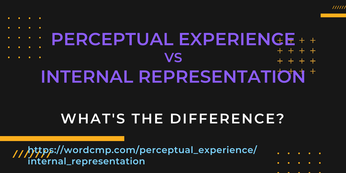Difference between perceptual experience and internal representation