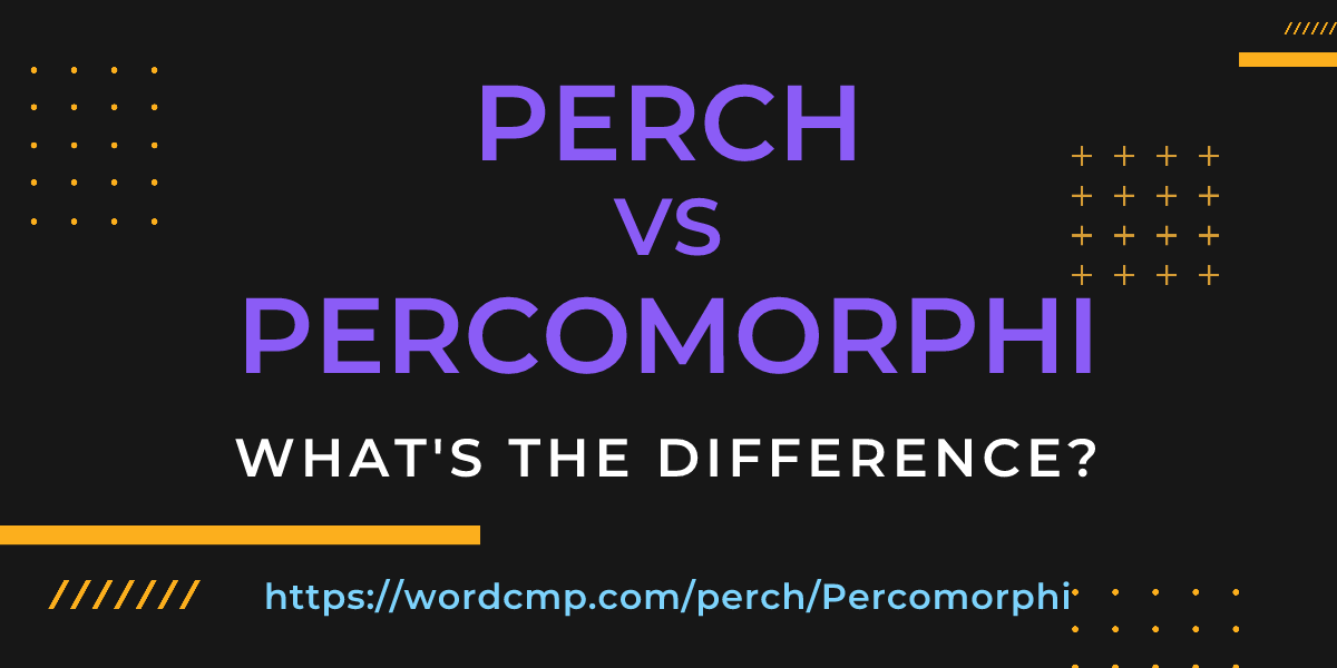 Difference between perch and Percomorphi