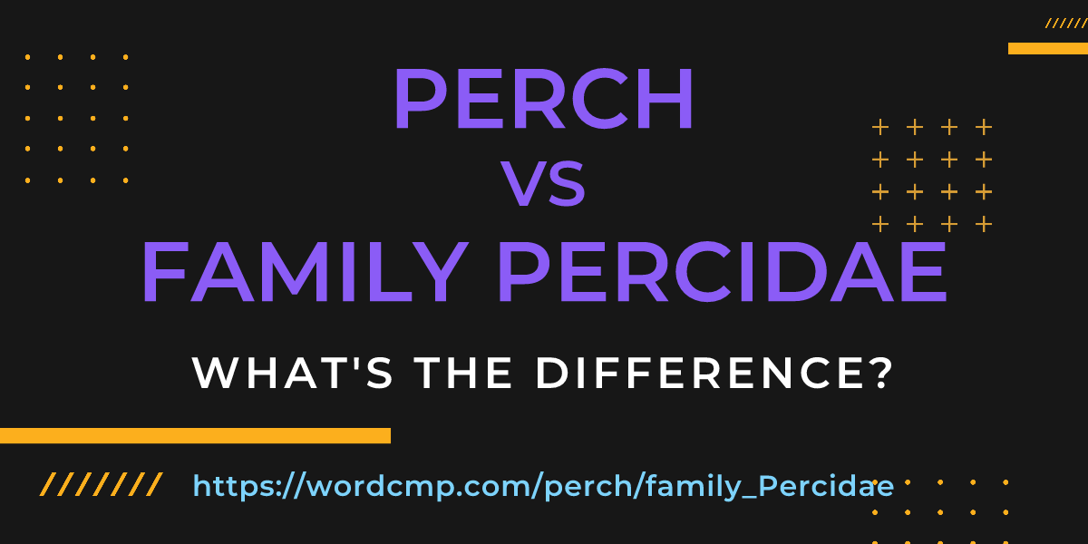 Difference between perch and family Percidae