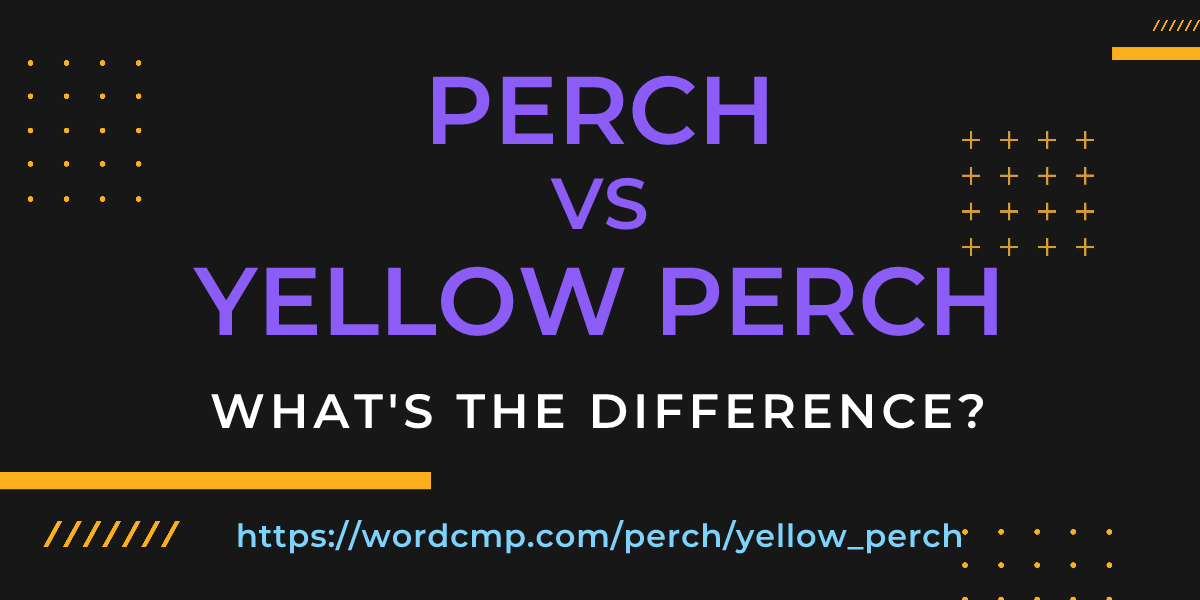 Difference between perch and yellow perch