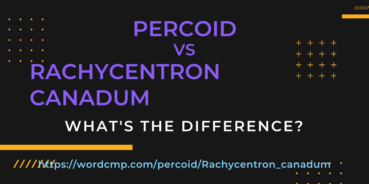 Difference between percoid and Rachycentron canadum