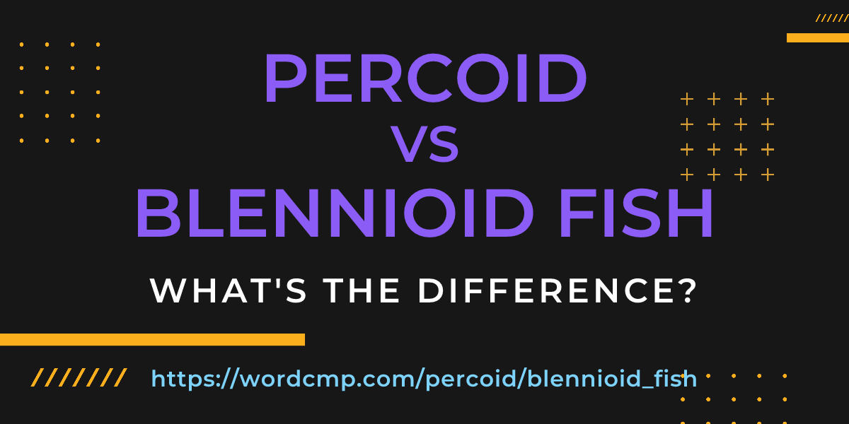 Difference between percoid and blennioid fish