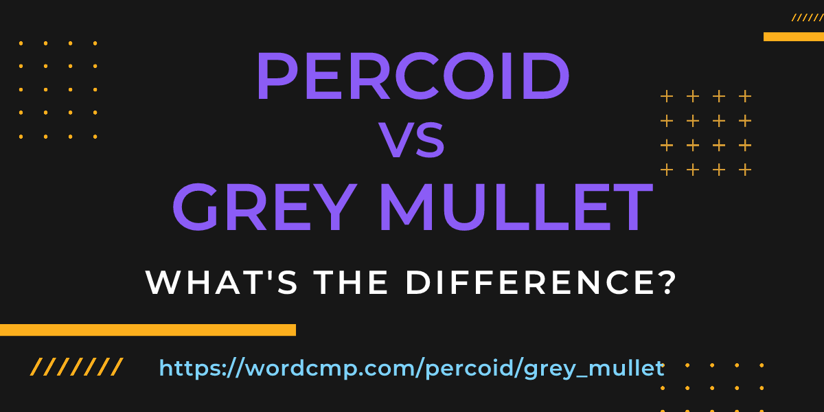 Difference between percoid and grey mullet
