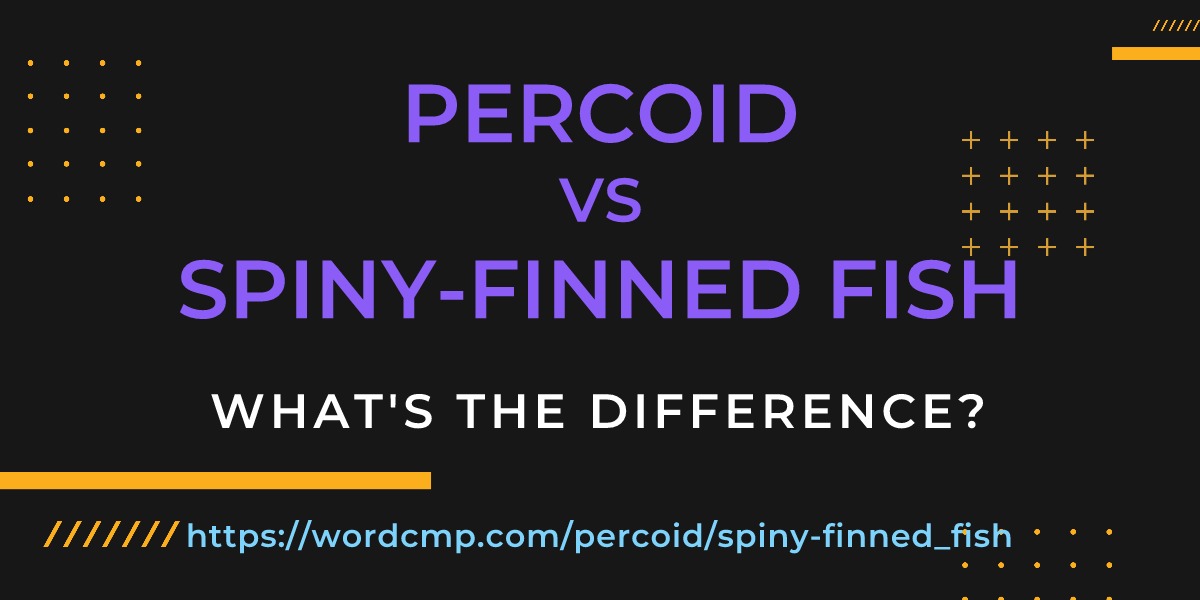 Difference between percoid and spiny-finned fish