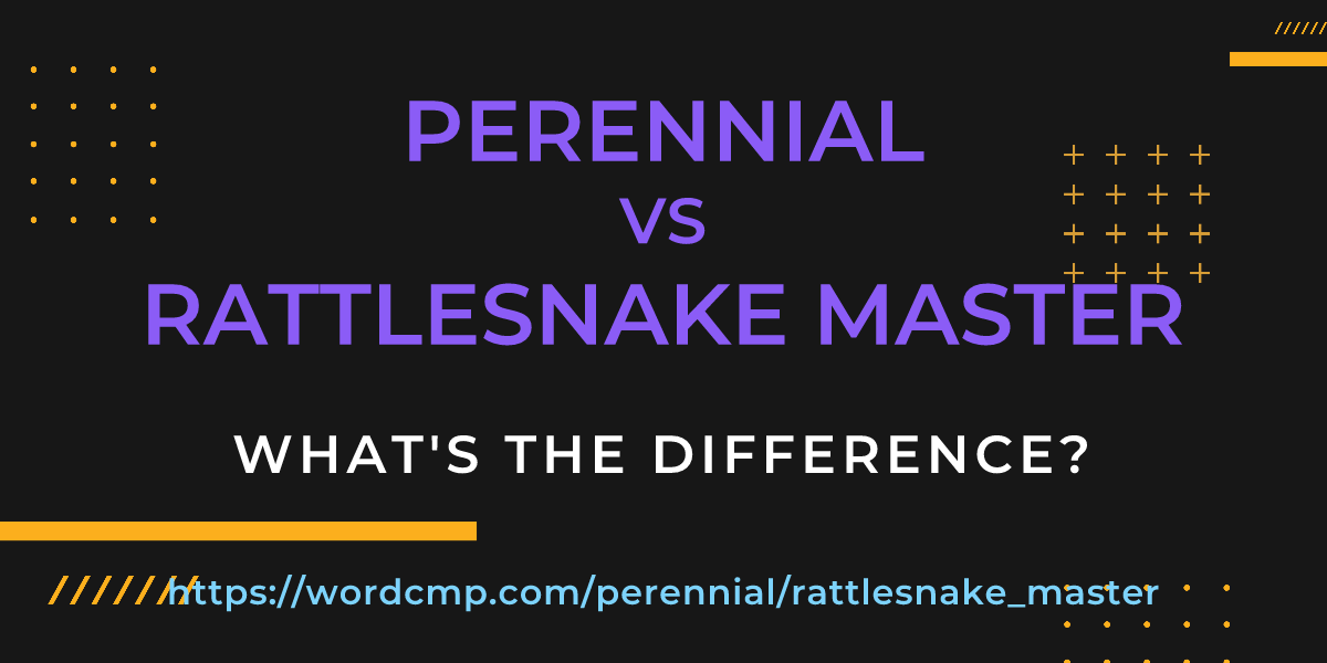 Difference between perennial and rattlesnake master