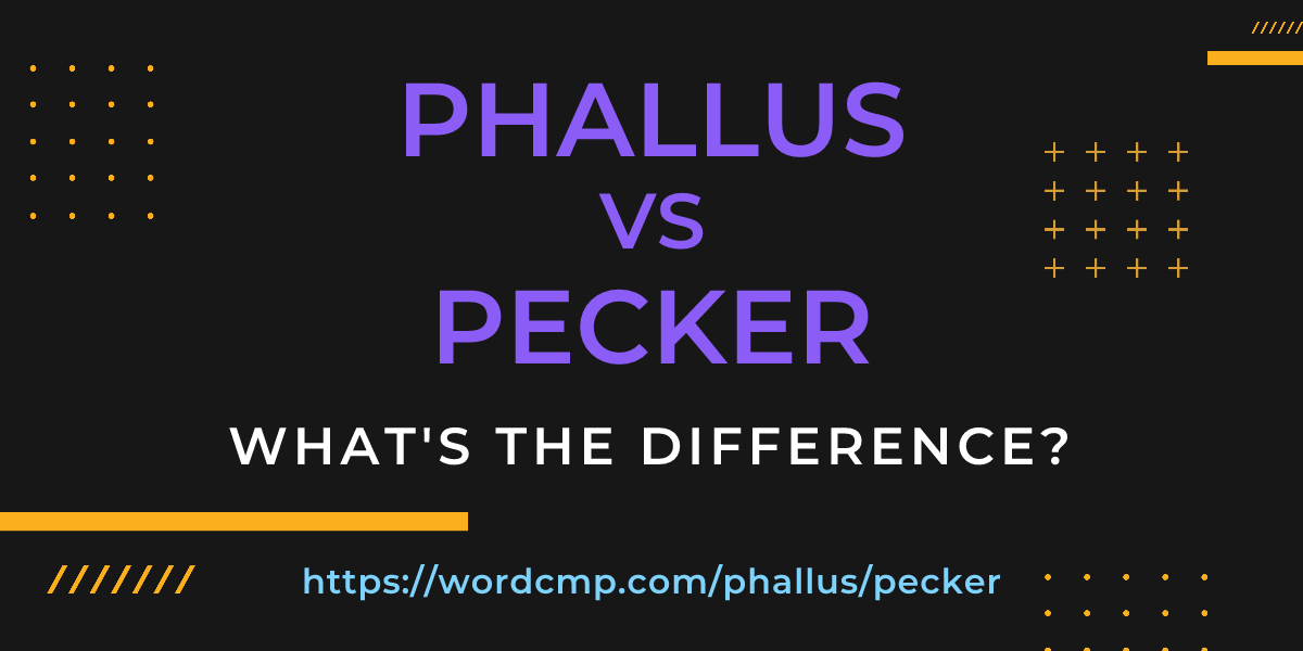 Difference between phallus and pecker
