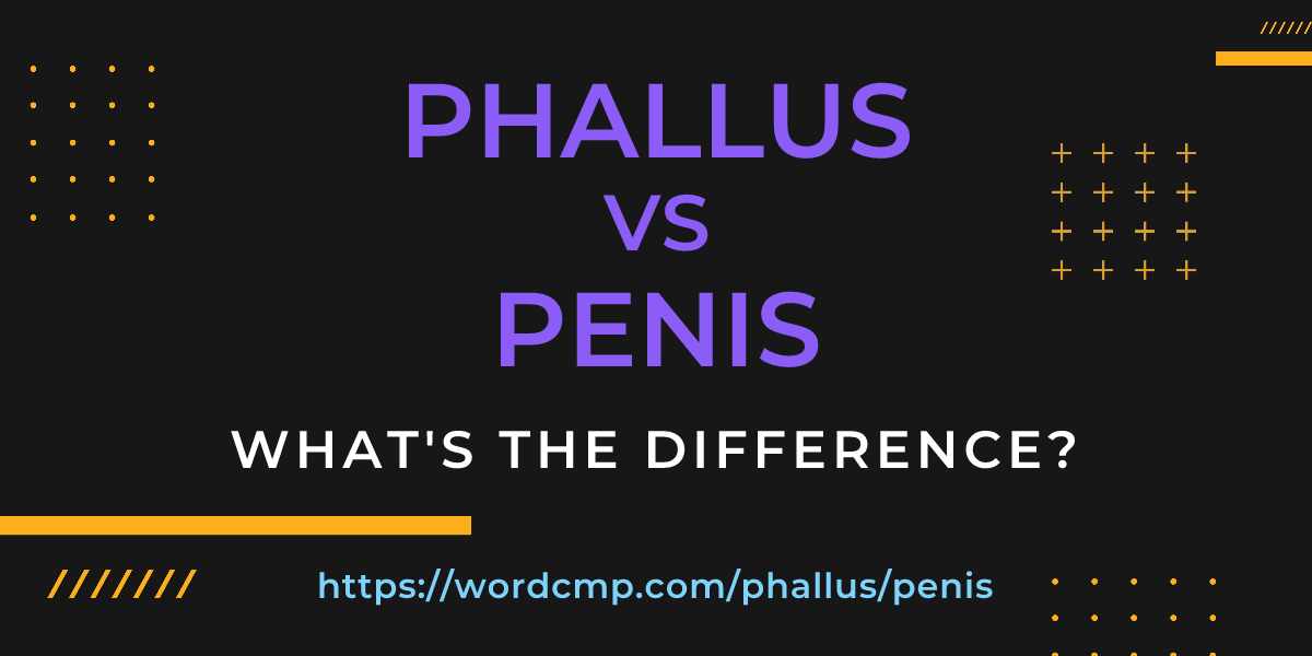 Difference between phallus and penis