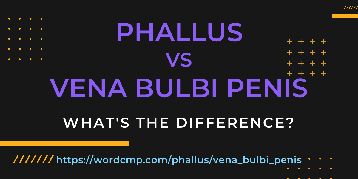 Difference between phallus and vena bulbi penis
