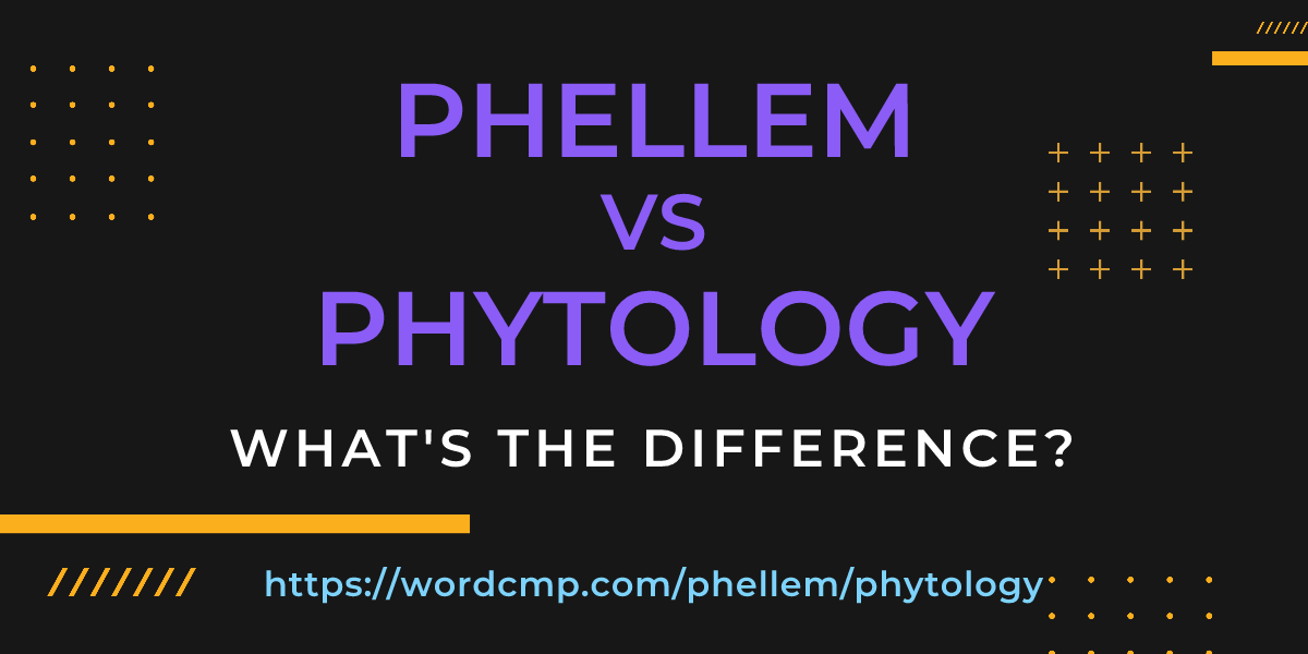 Difference between phellem and phytology
