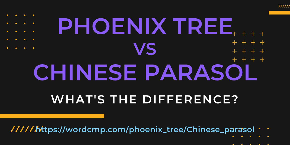 Difference between phoenix tree and Chinese parasol