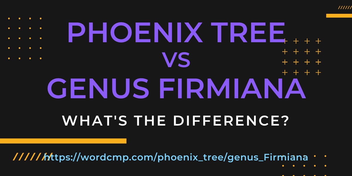 Difference between phoenix tree and genus Firmiana