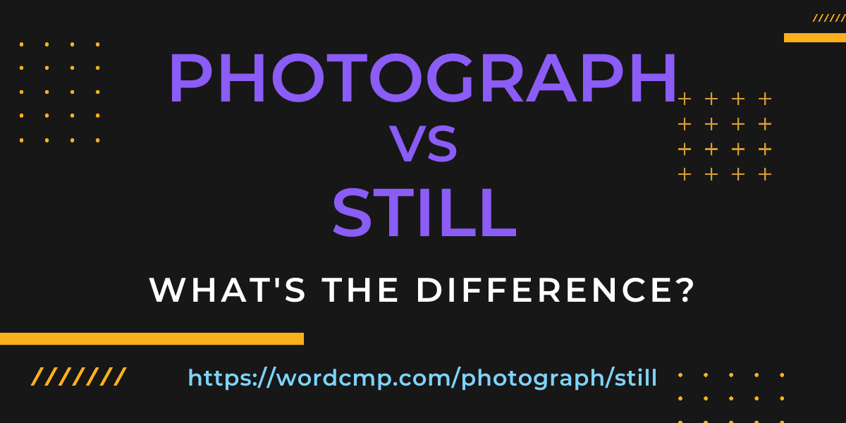 Difference between photograph and still
