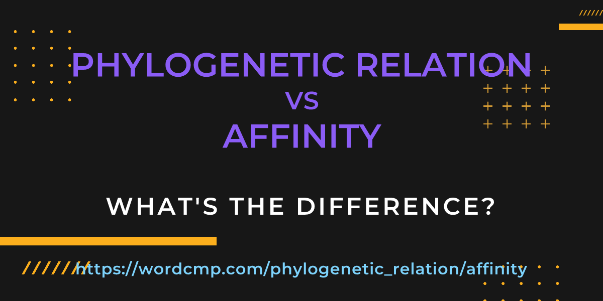 Difference between phylogenetic relation and affinity