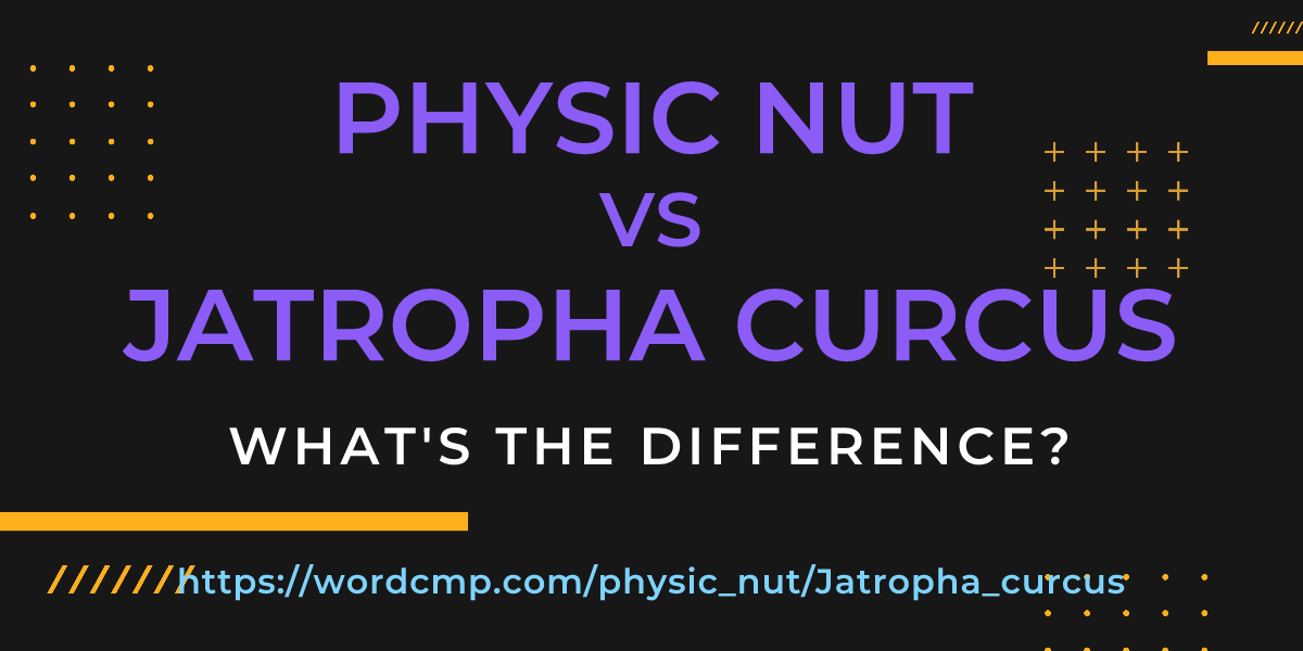 Difference between physic nut and Jatropha curcus