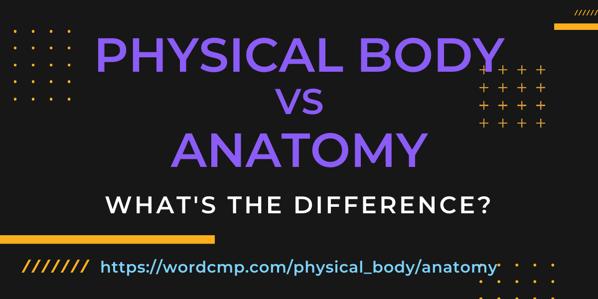 Difference between physical body and anatomy