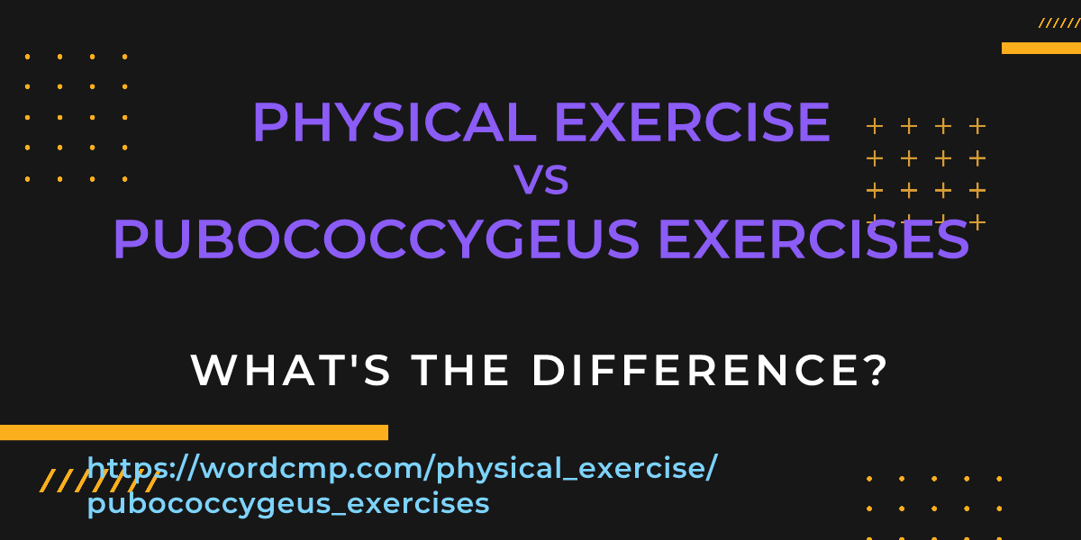 Difference between physical exercise and pubococcygeus exercises