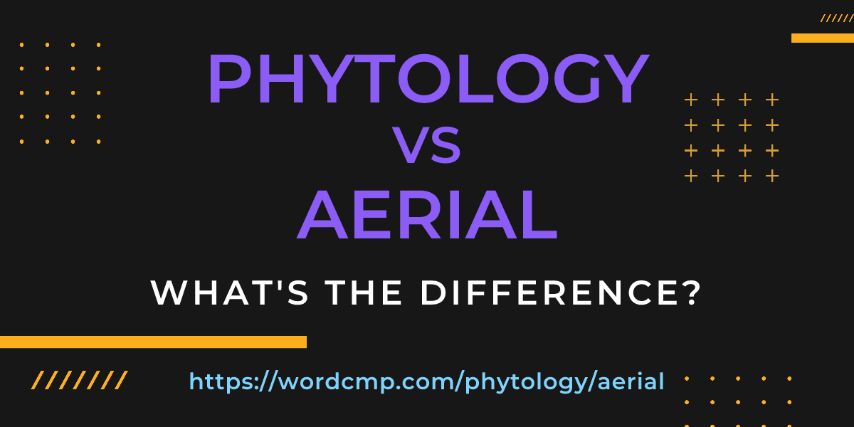 Difference between phytology and aerial