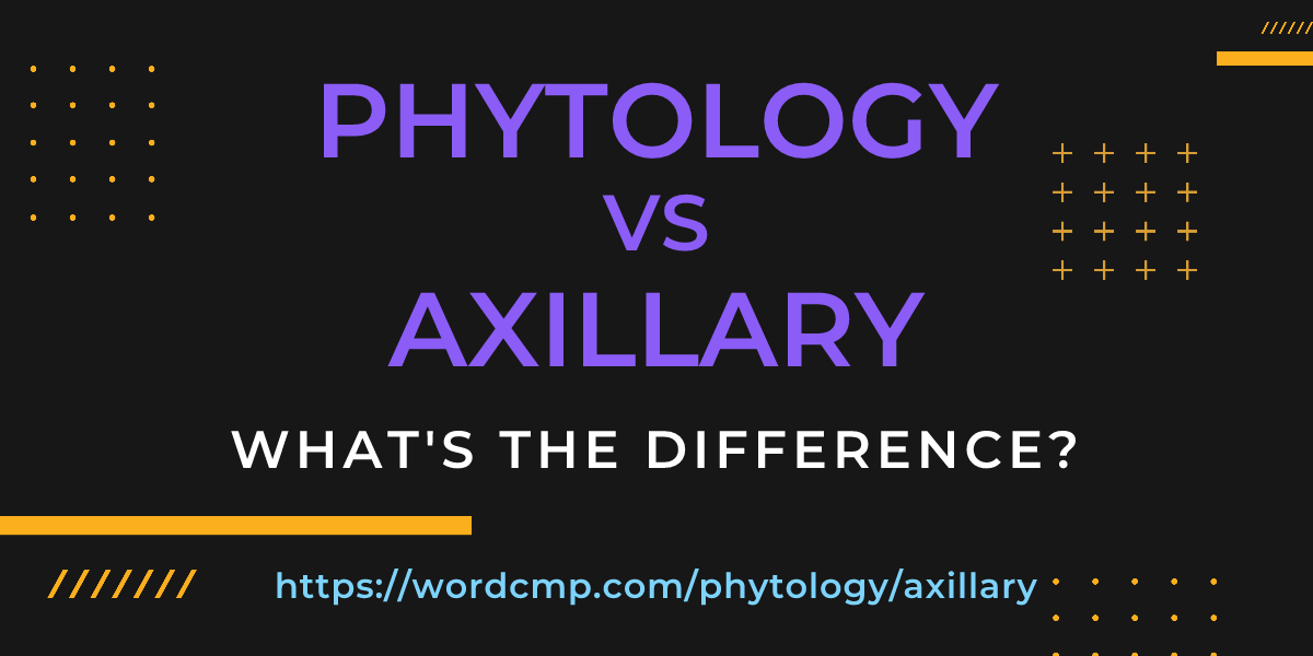 Difference between phytology and axillary