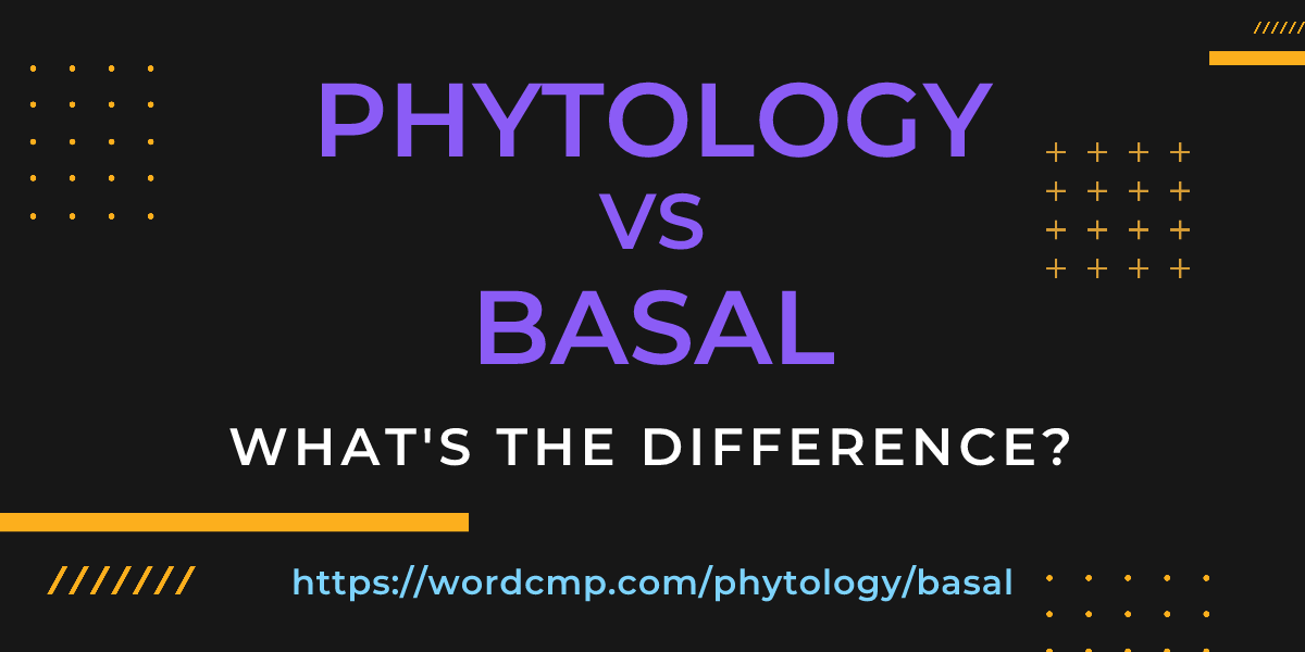 Difference between phytology and basal