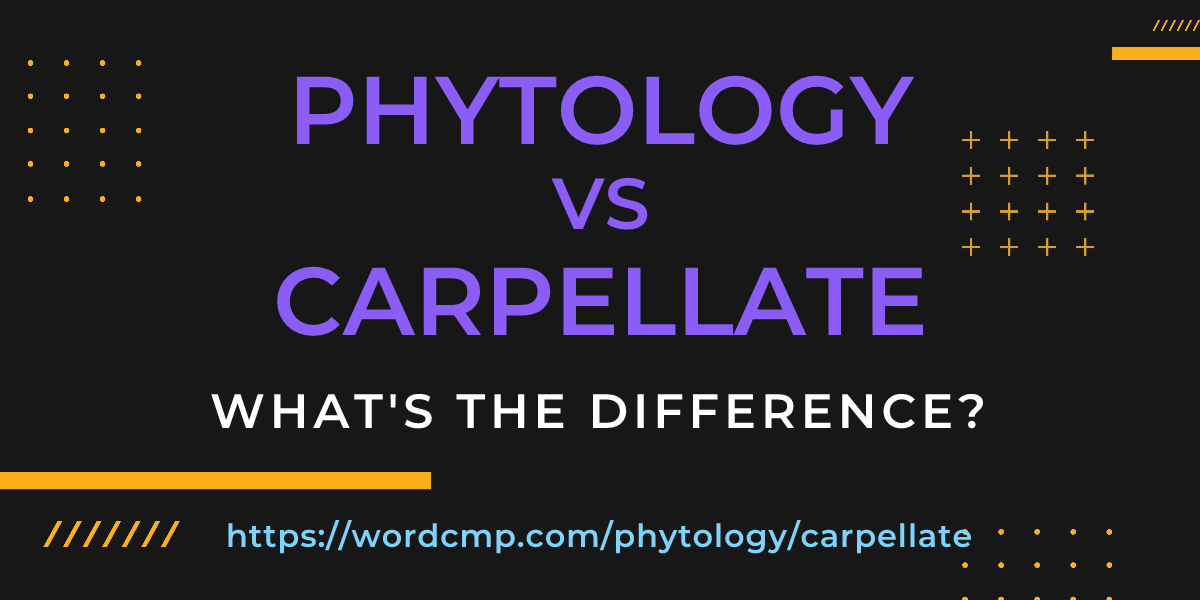 Difference between phytology and carpellate
