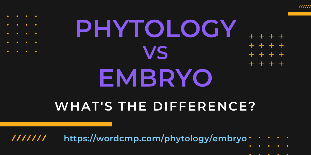 Difference between phytology and embryo