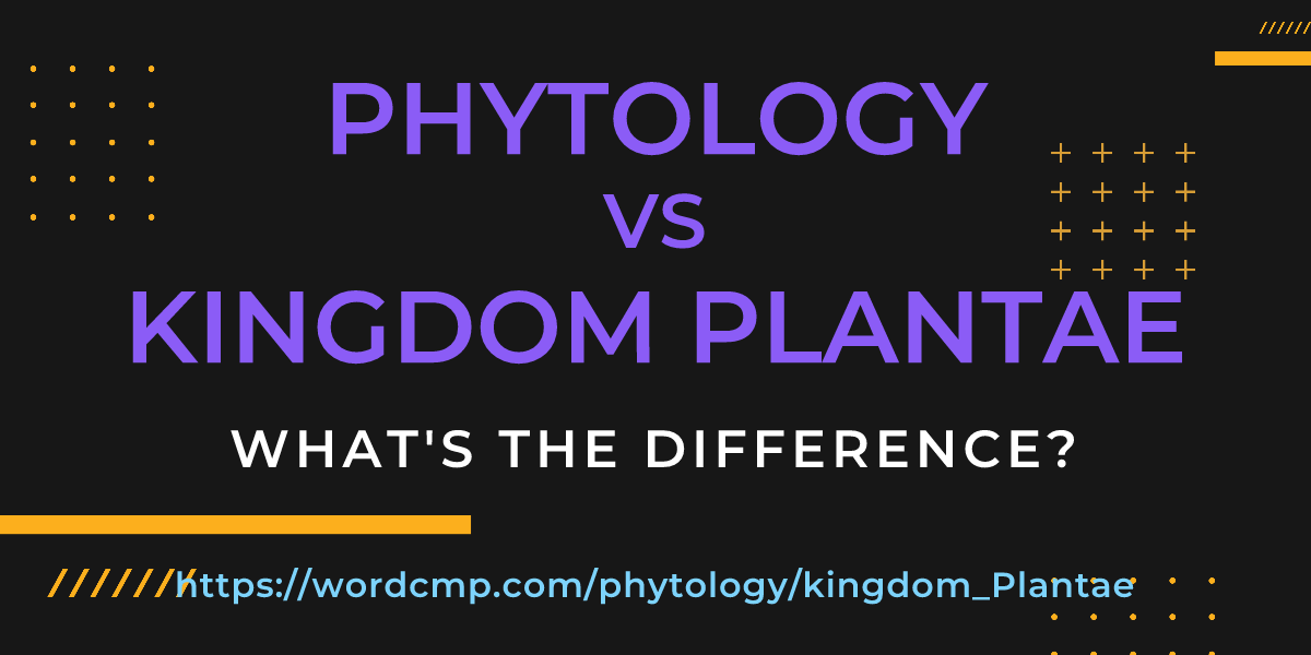 Difference between phytology and kingdom Plantae