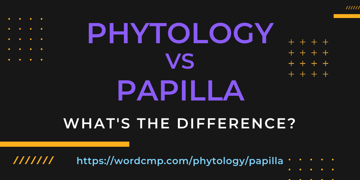 Difference between phytology and papilla