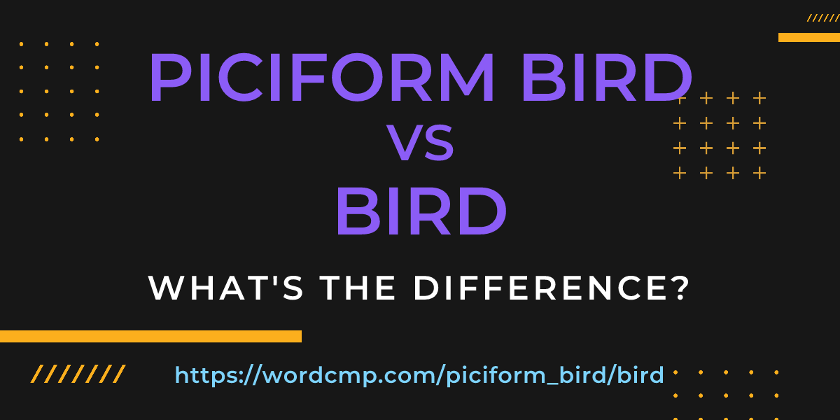 Difference between piciform bird and bird
