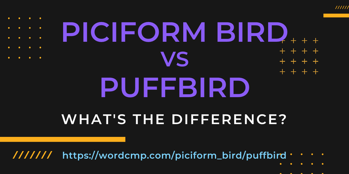 Difference between piciform bird and puffbird