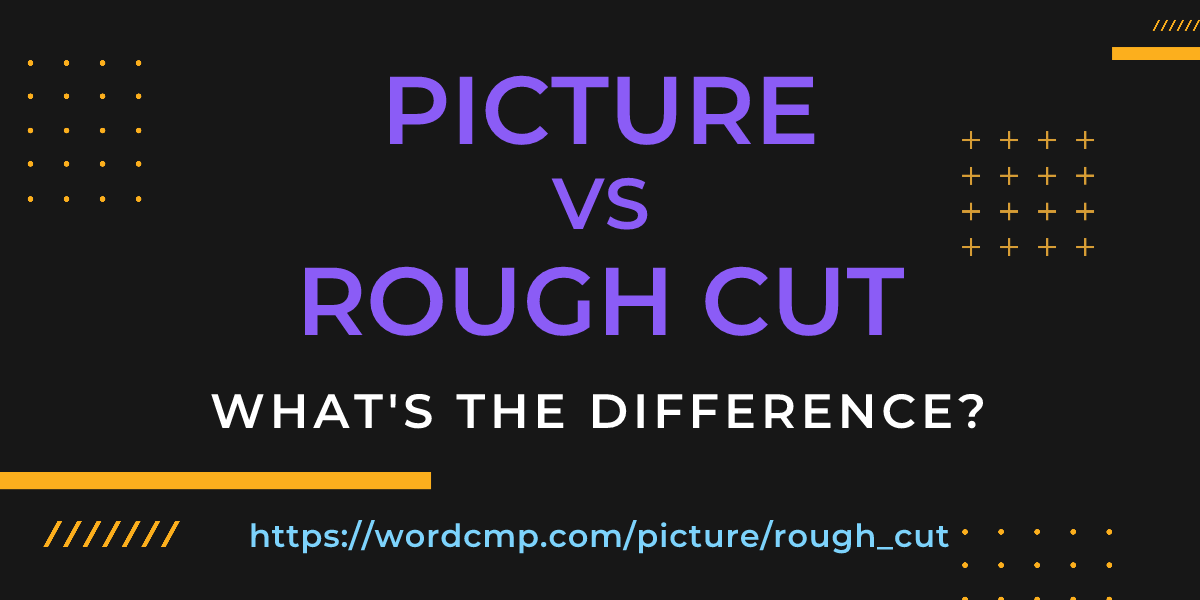Difference between picture and rough cut