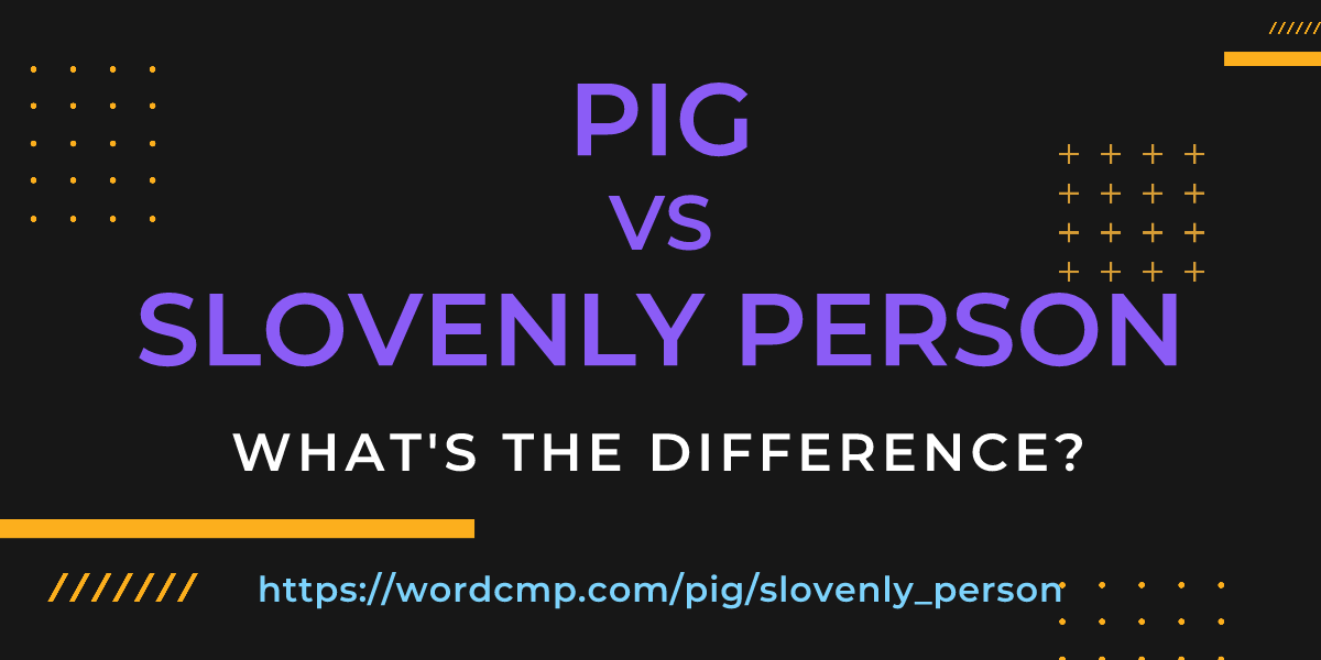 Difference between pig and slovenly person